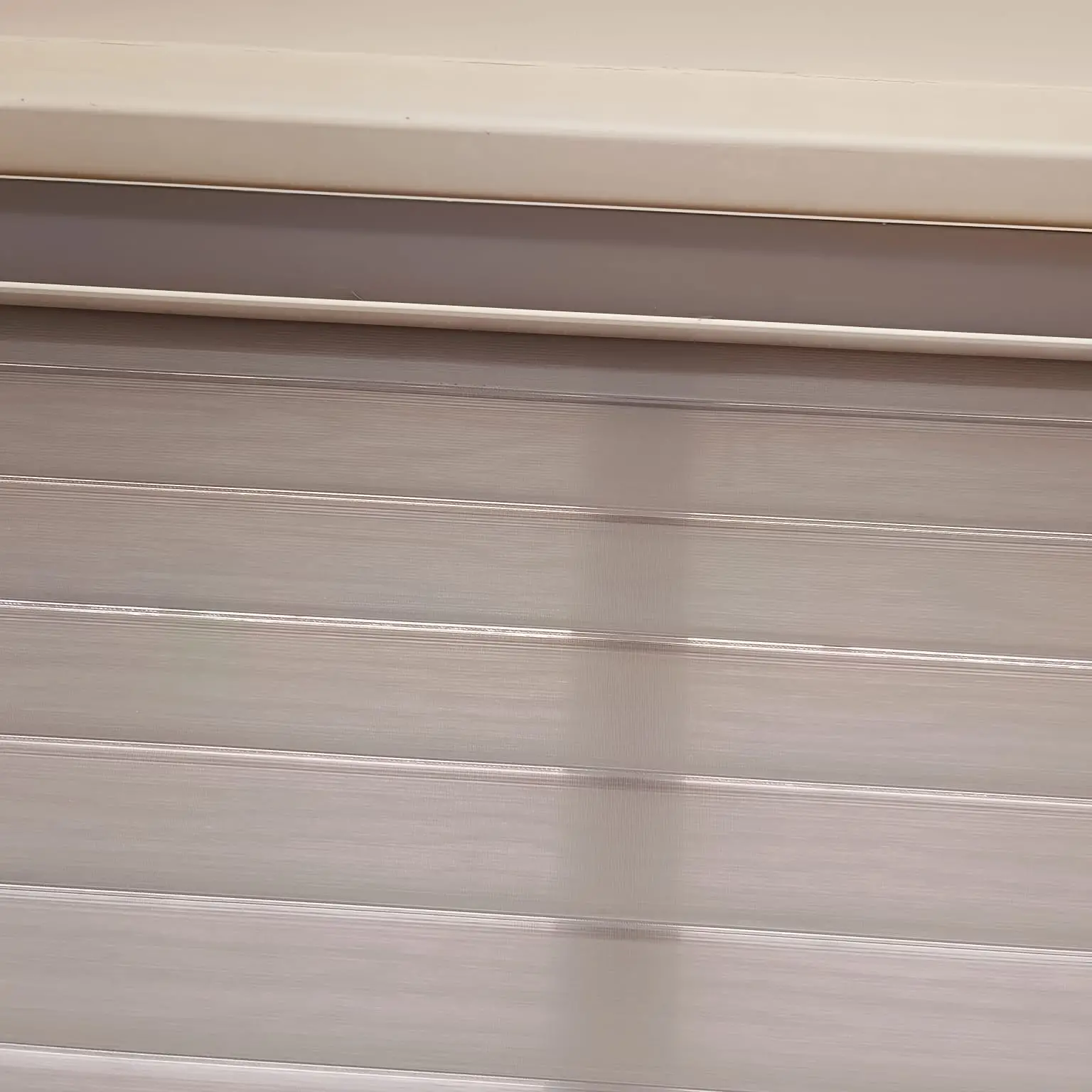 Zebra Blinds