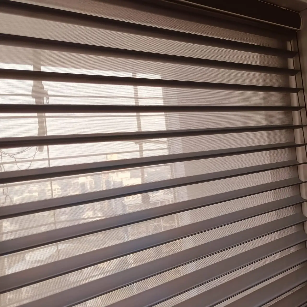 Roller Blinds